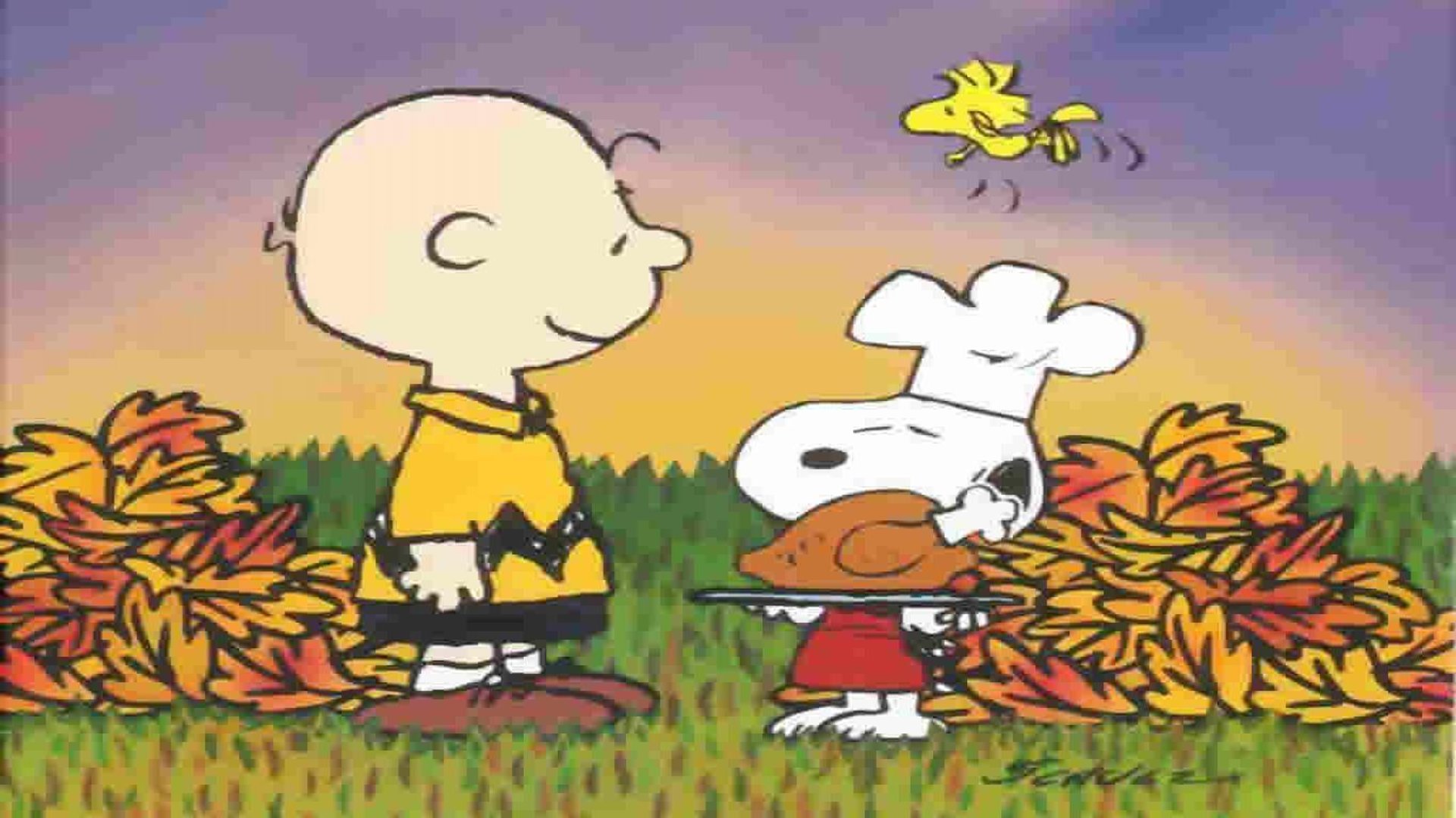 Peanuts Thanksgiving Images.jpg