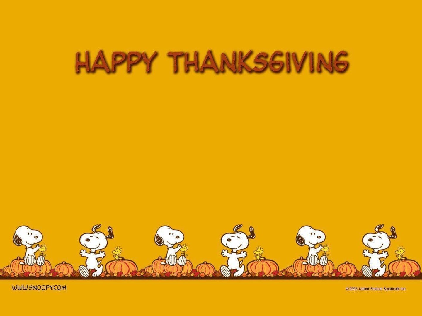 Snoopy Thanksgiving Wallpaper.jpg