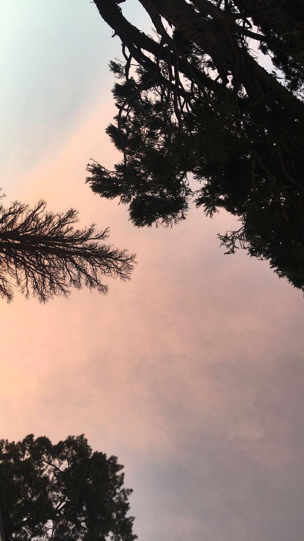 Nature Aesthetic Images.jpg