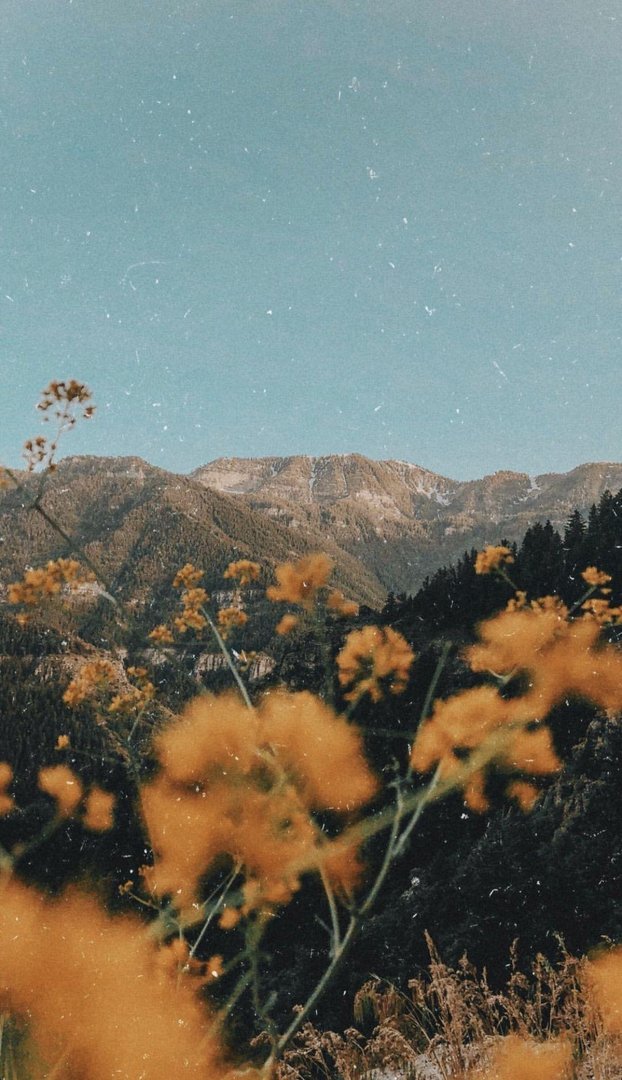 Nature Aesthetic Pictures.jpg