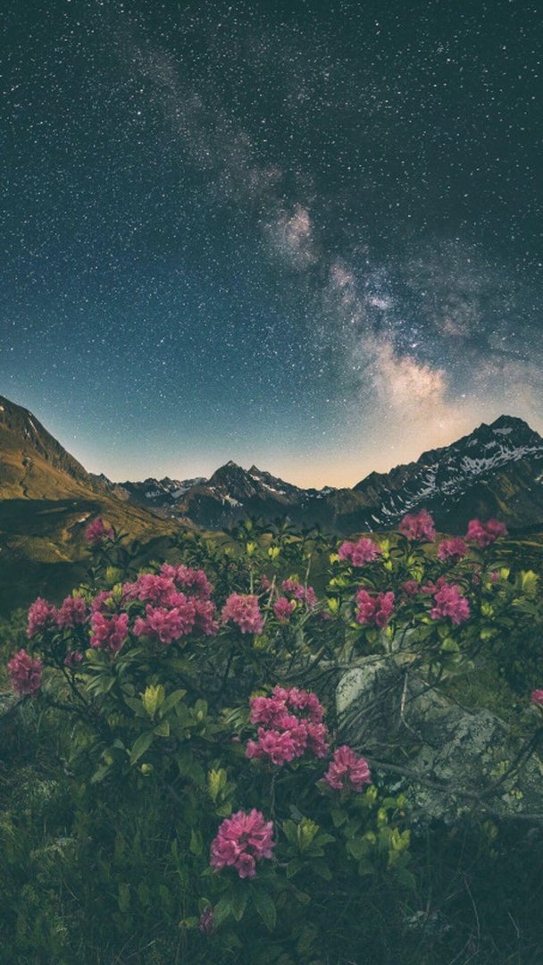 Nature Aesthetic Wallpaper.jpg