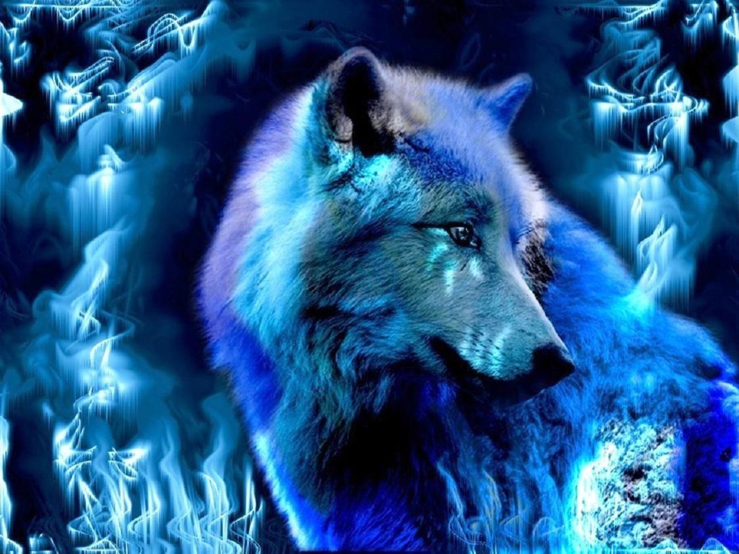 Blue Wolf Pictures.jpg