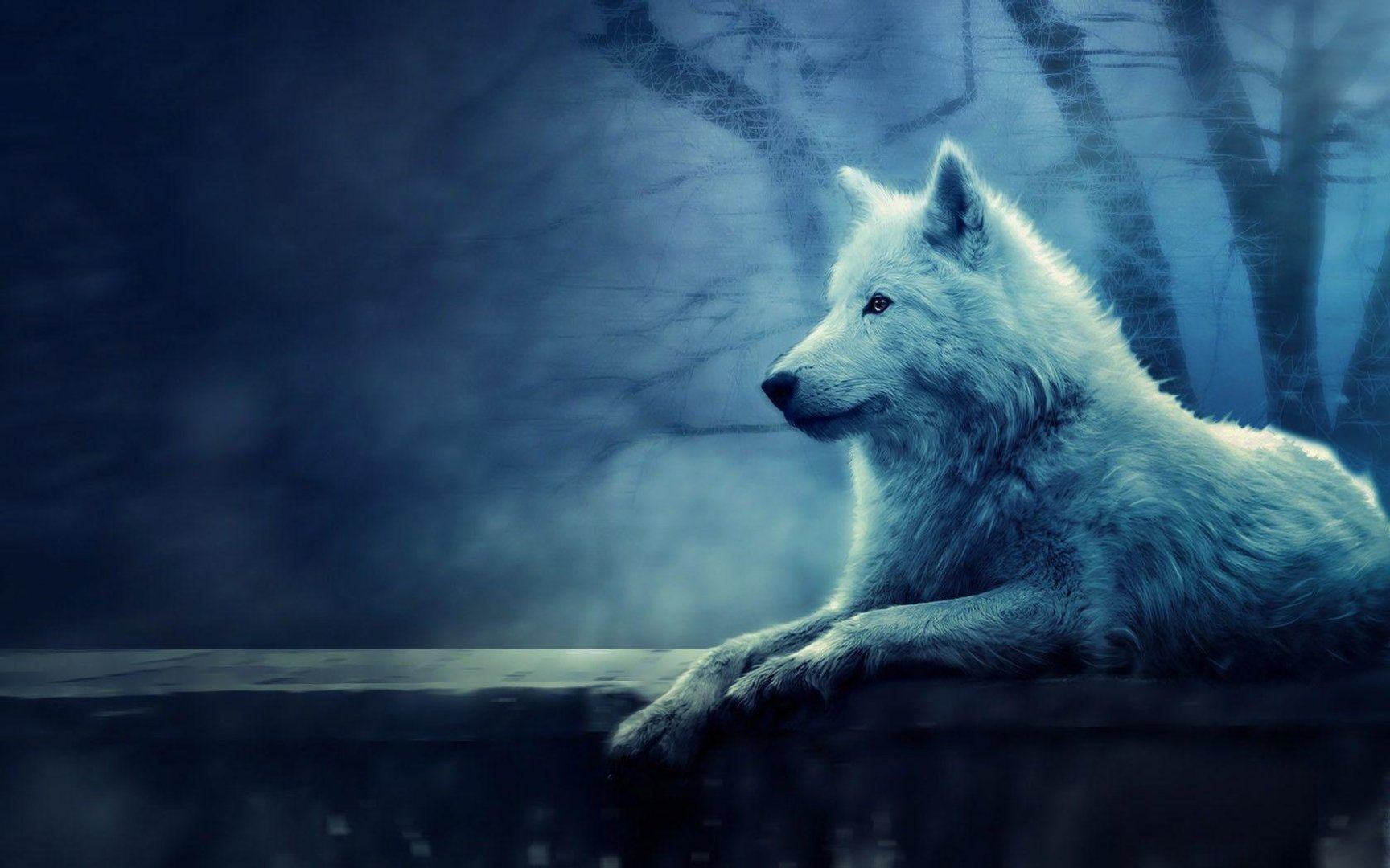 Blue Wolf Wallpaper.jpg