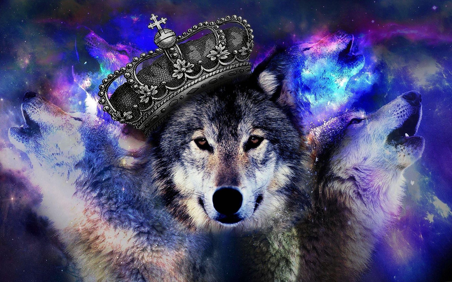 Cool Blue Wolf Wallpapers.jpg