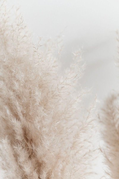 Beige iPhone