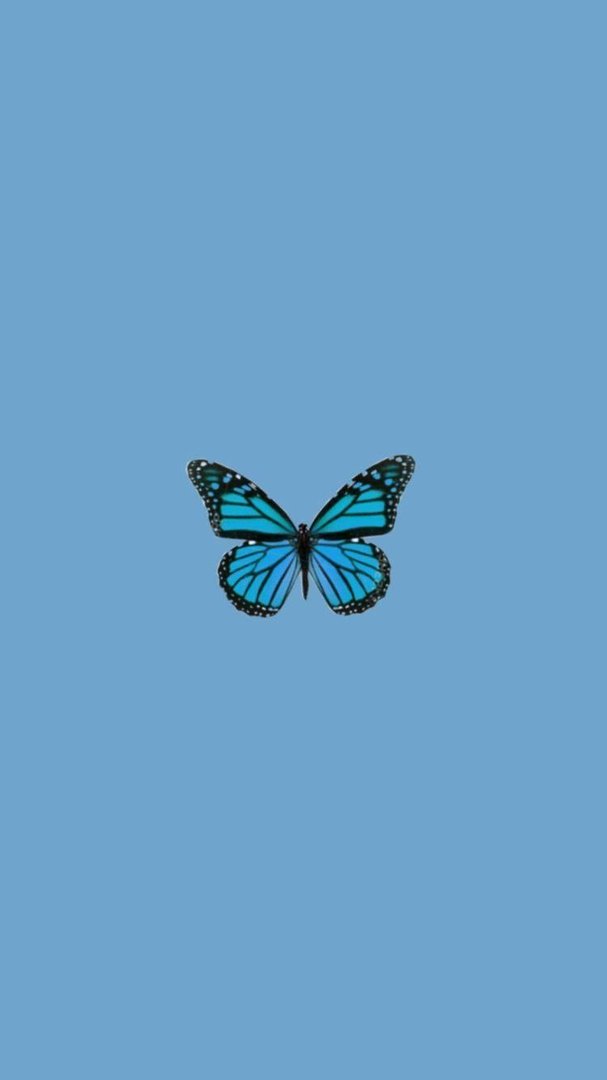 Blue Butterfly Aesthetic Wallpapers.jpg