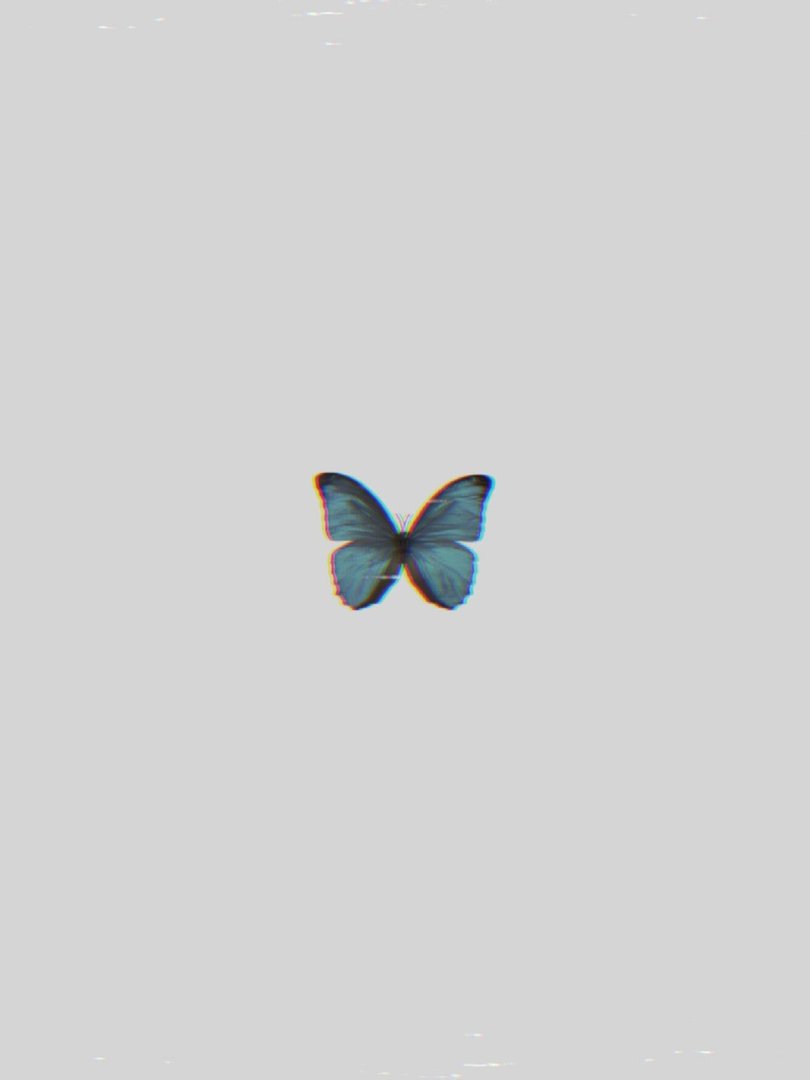 Blue Butterfly Aesthetic Wallpaper.jpg