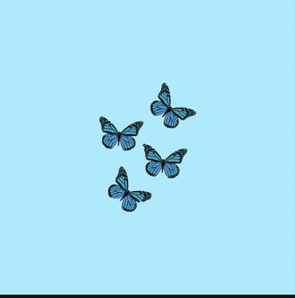 Blue Butterfly Aesthetic