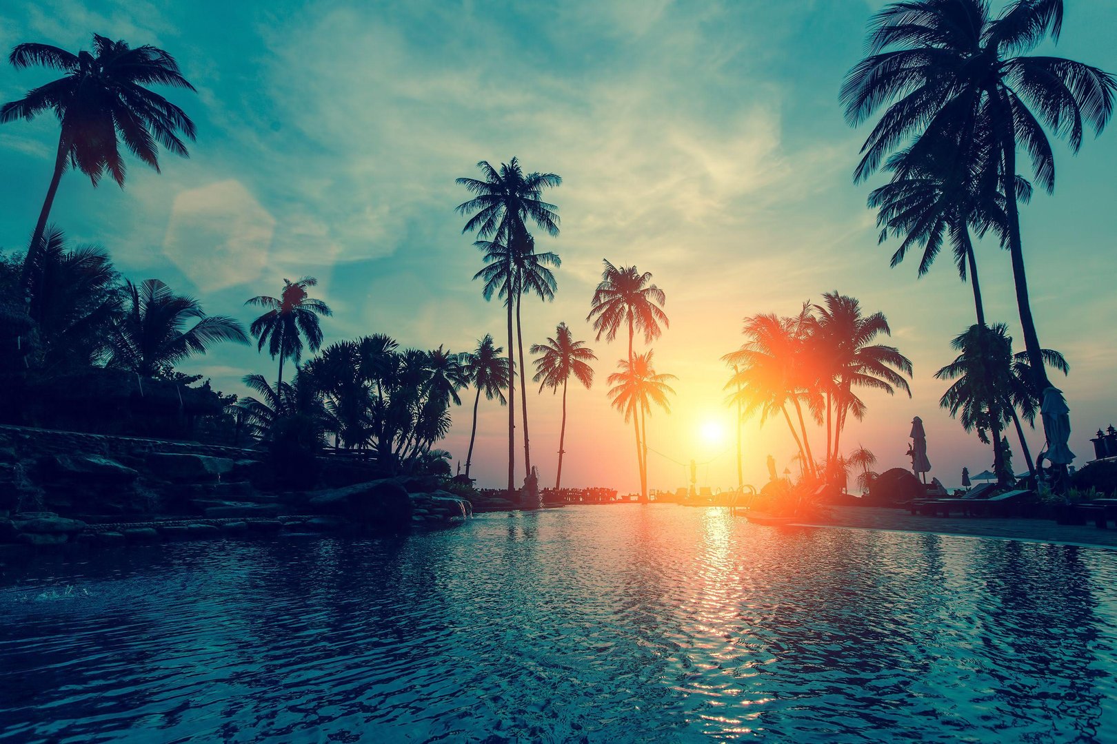 Palm Tree Sunset Wallpapers.jpg