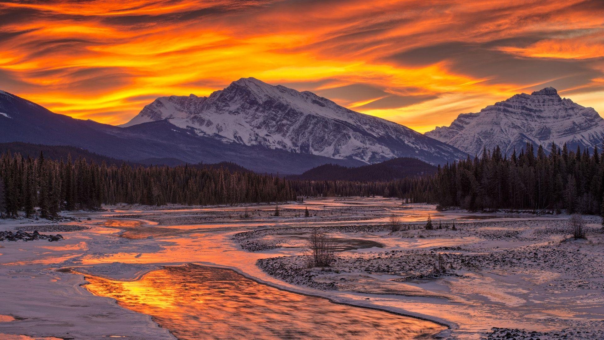 Alaska Images.jpg