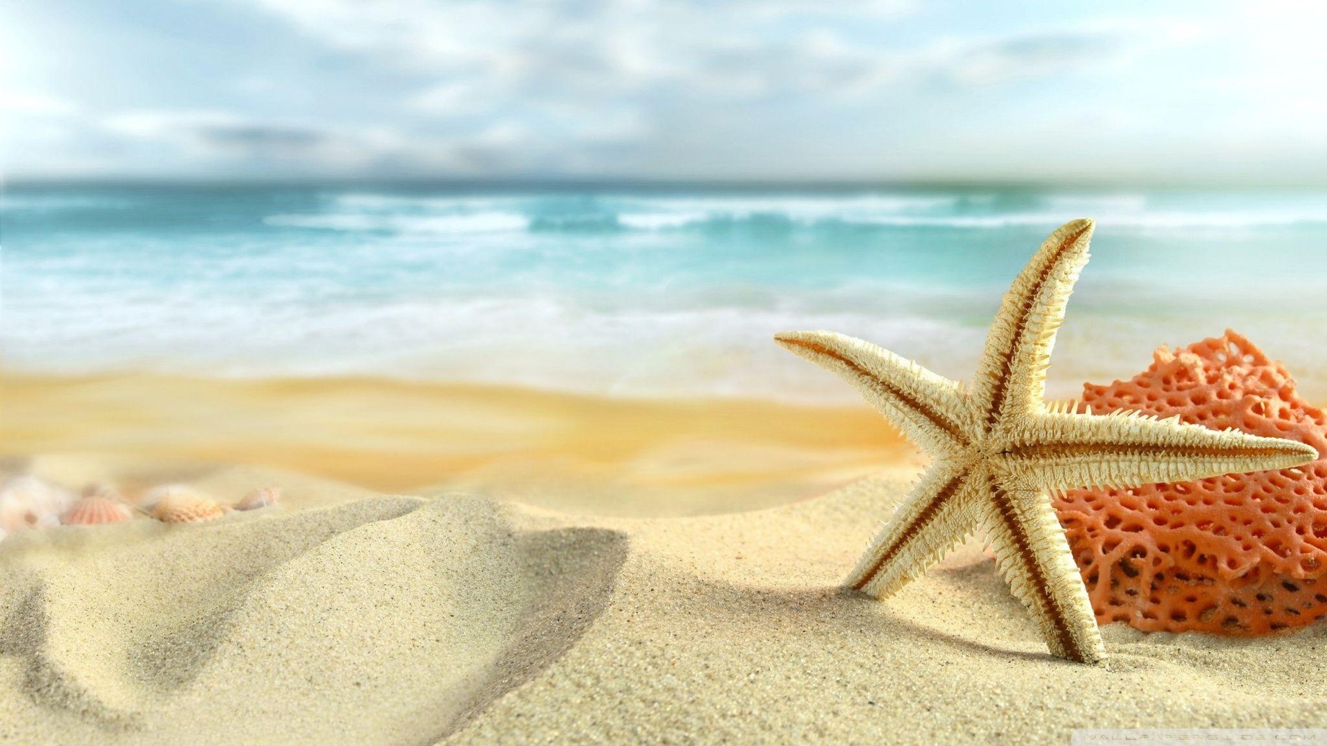 Cute Beach Background.jpg