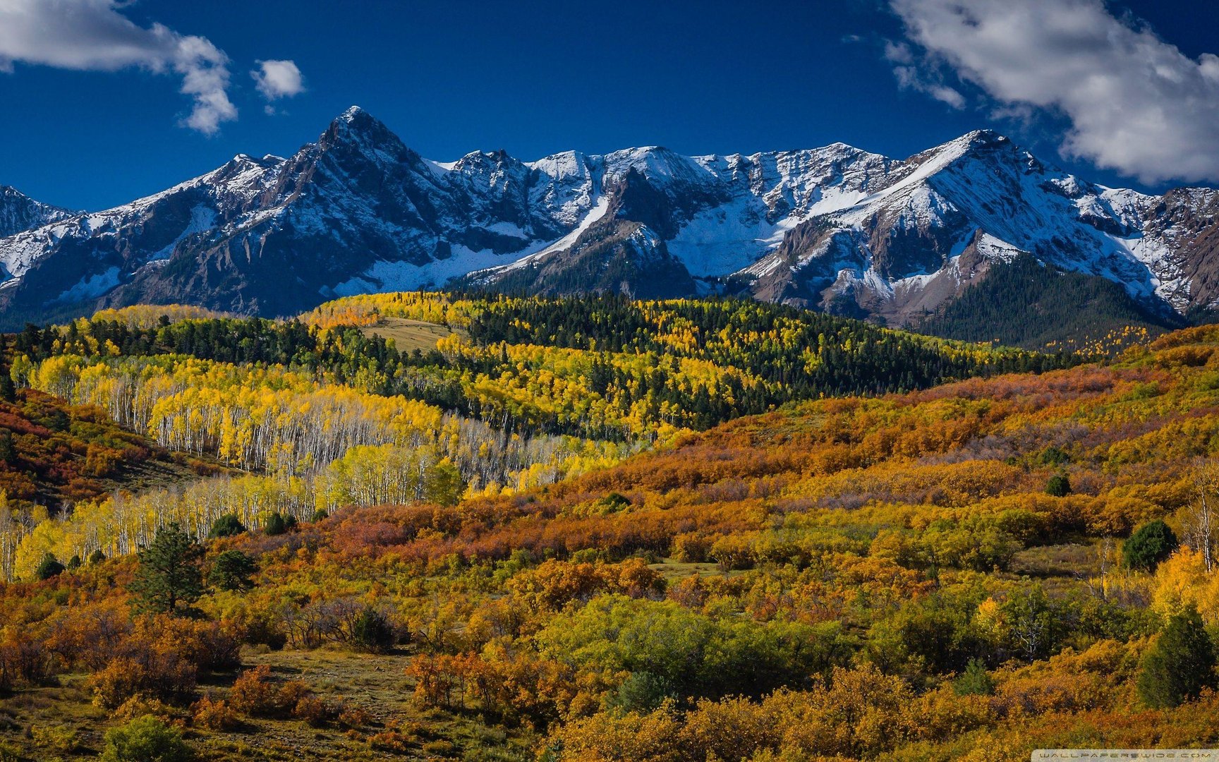 Colorado Desktop Wallpapers.jpg