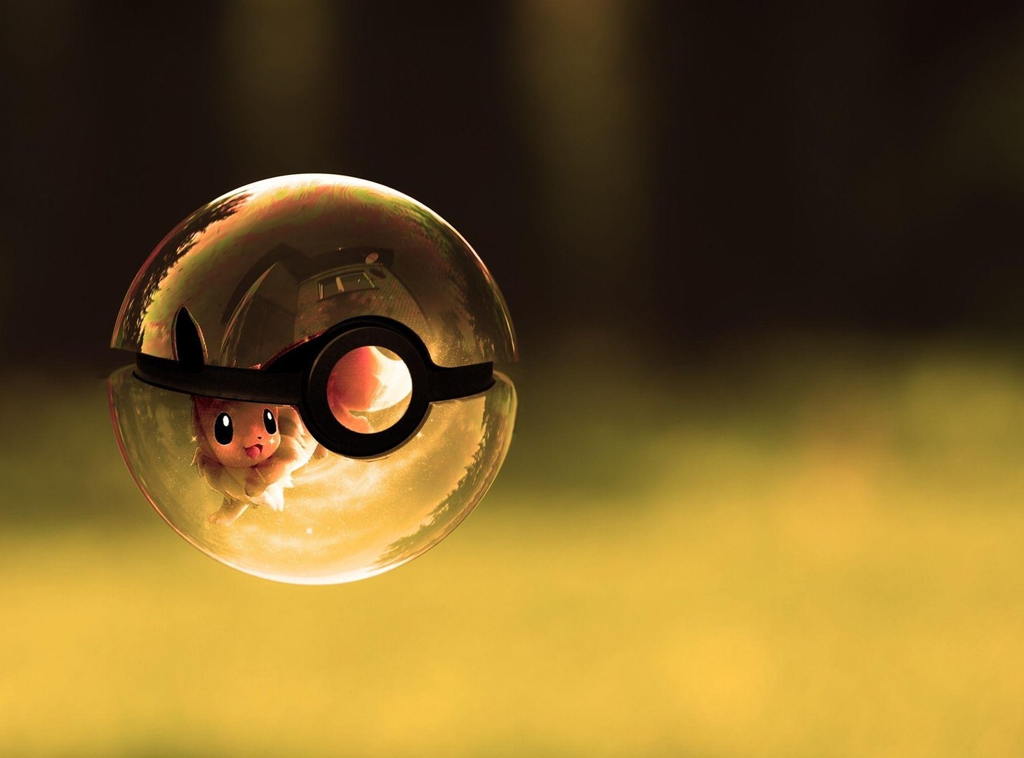Pokemon Pokeball Wallpapers.jpg