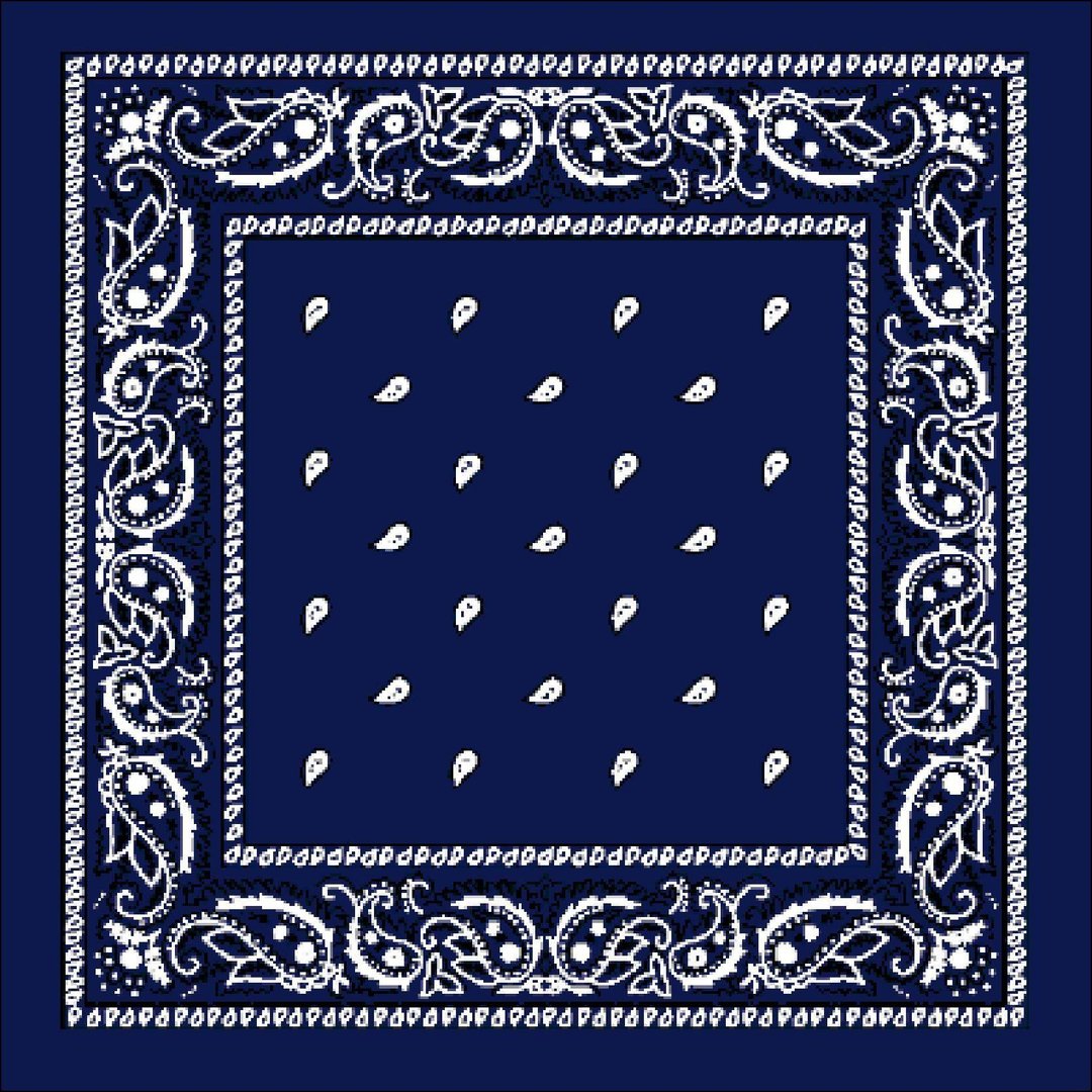Blue Bandana Pictures.jpg
