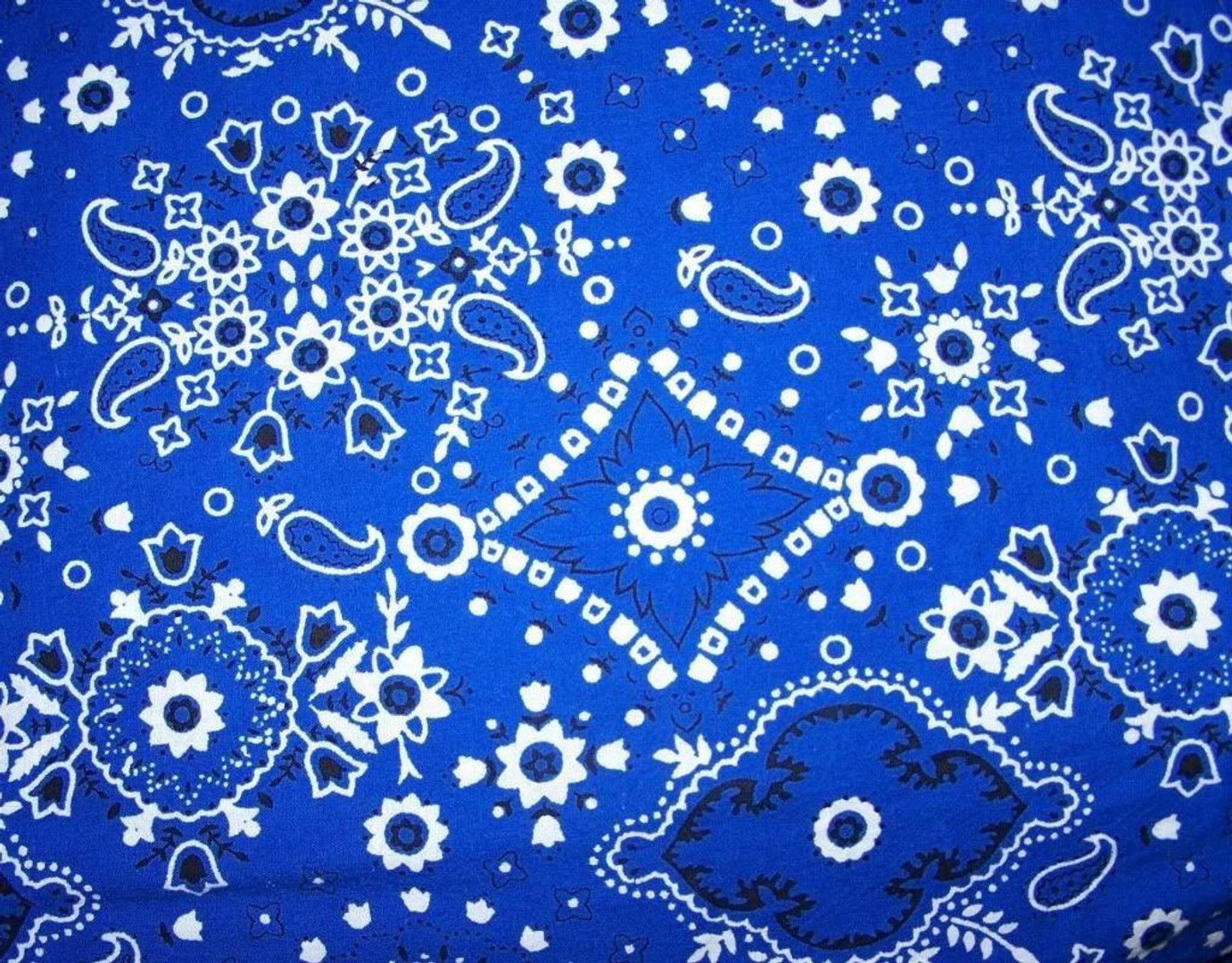 Blue Bandana Wallpaper.jpg