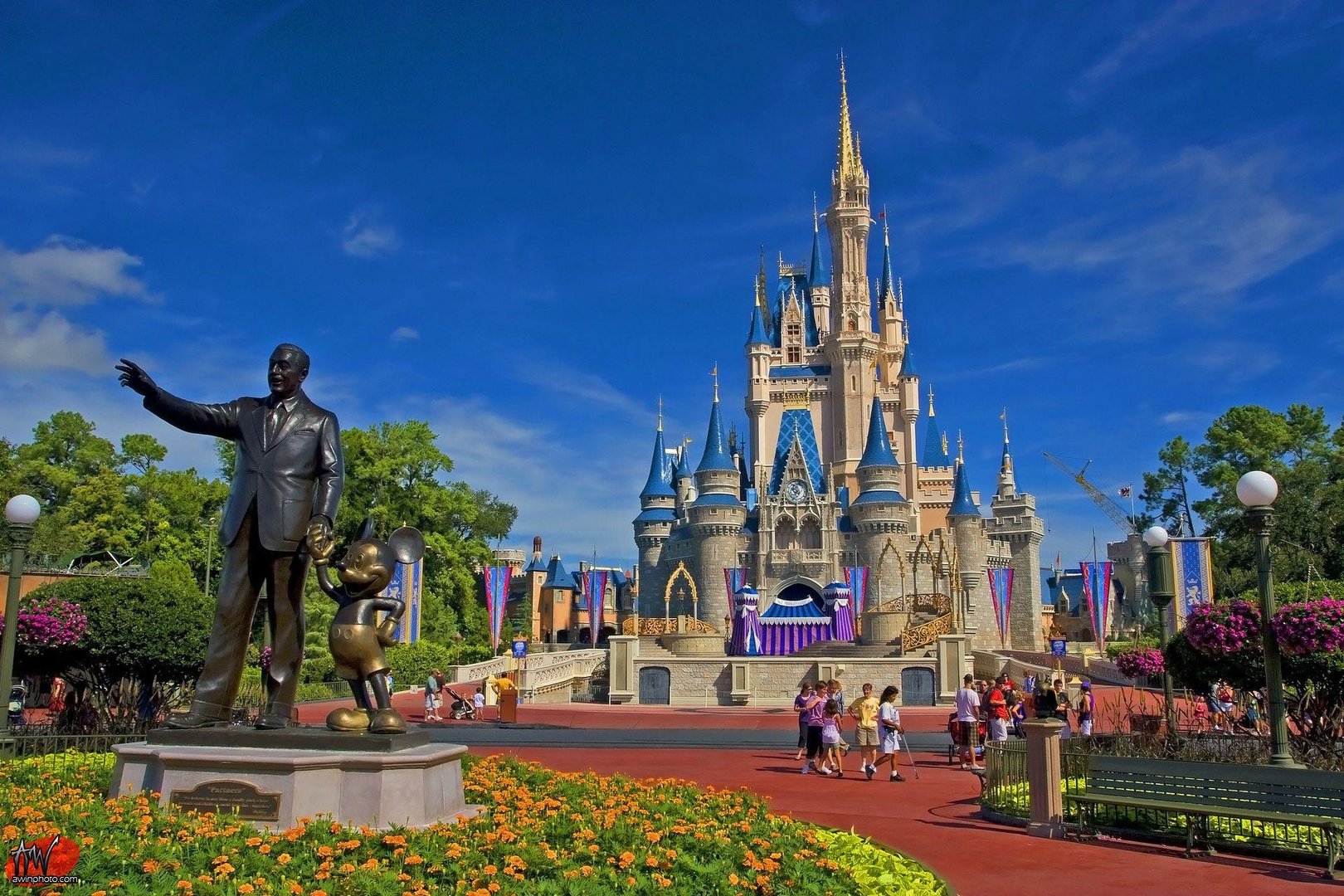 Disney World Images.jpg