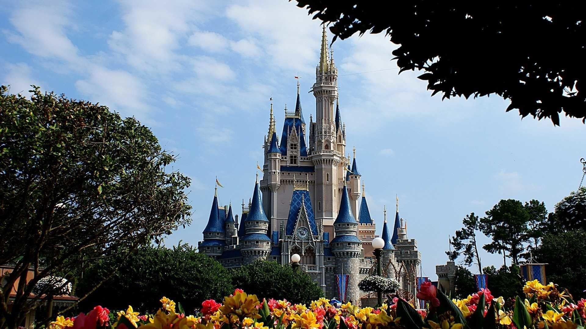 Disney World Wallpaper.jpg