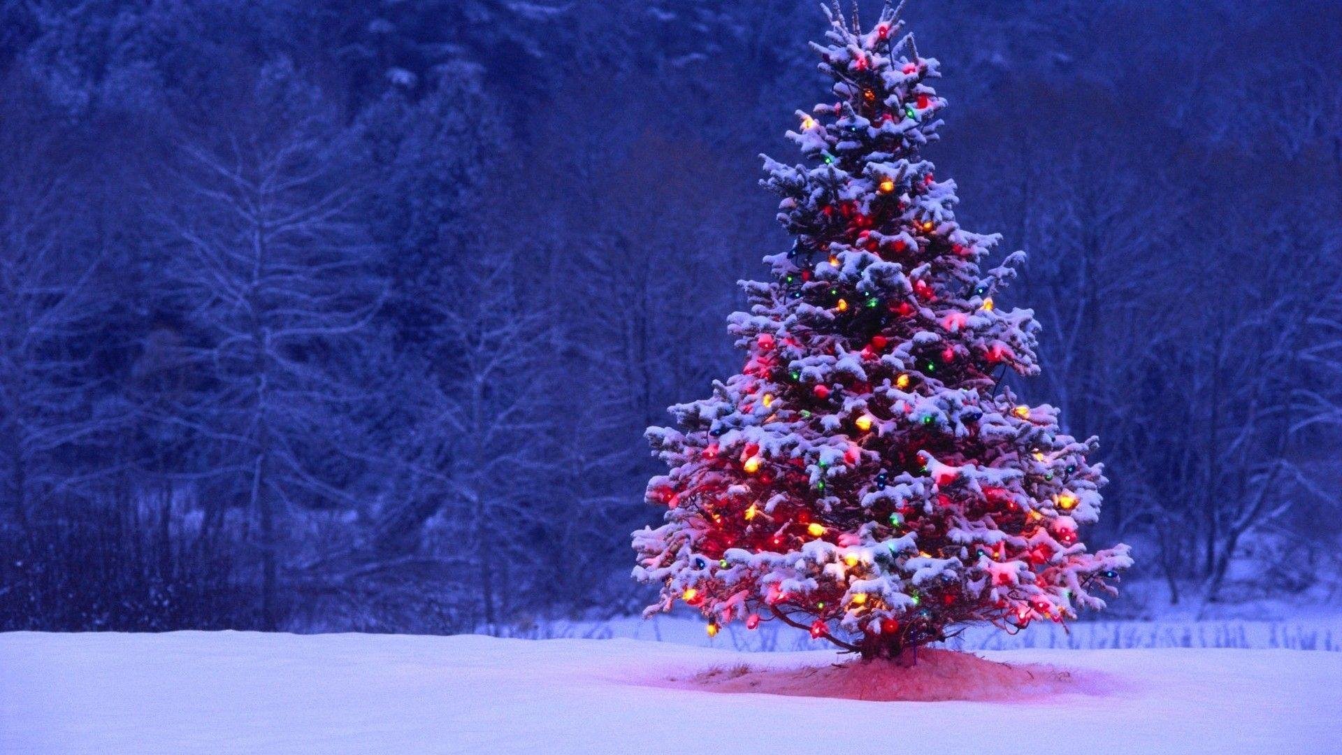 Christmas Mac Pictures.jpg