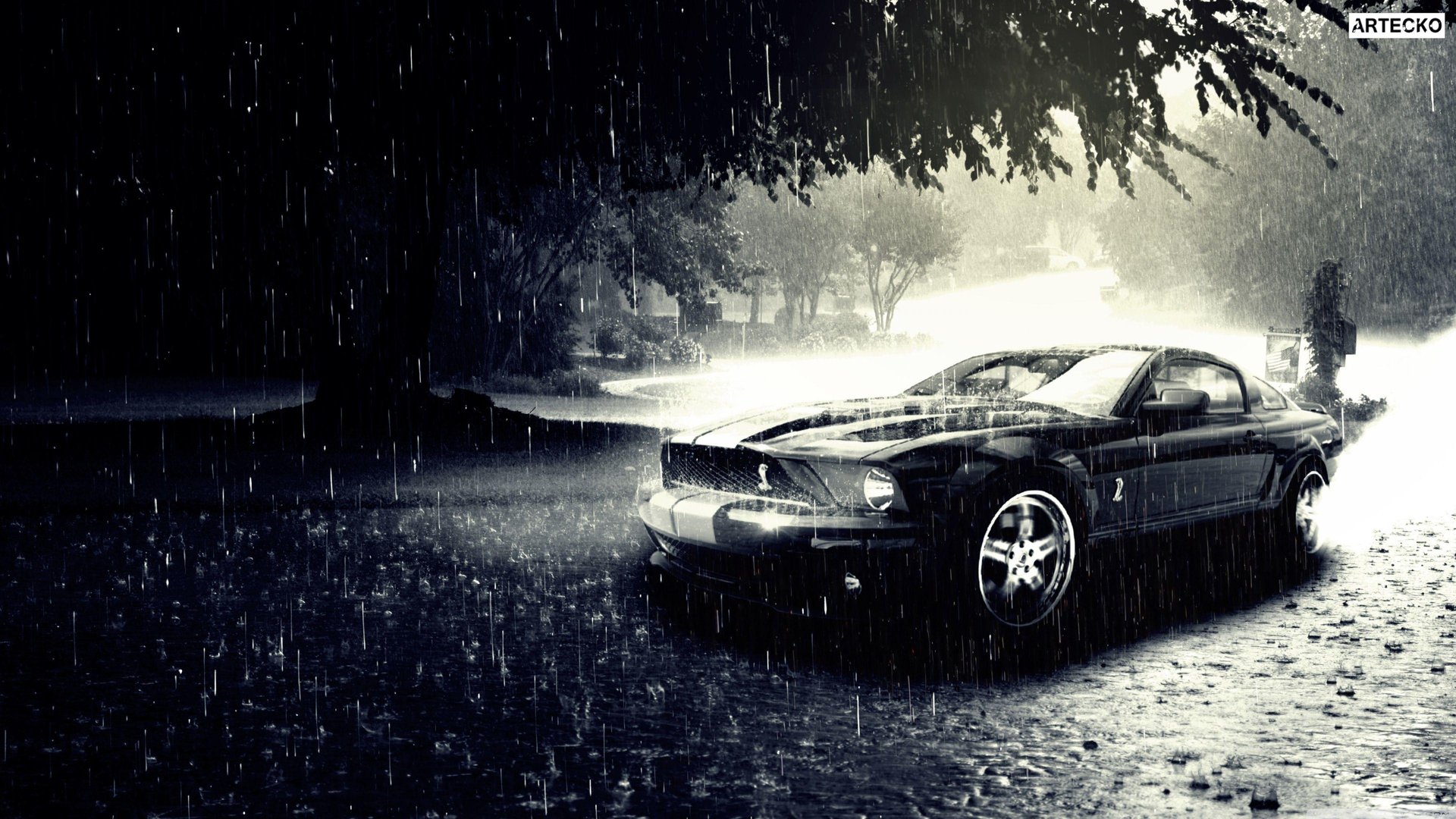 4K Ultra HD Mustang Background.jpg