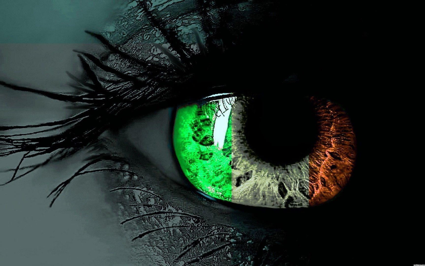 Irish Wallpaper.jpg