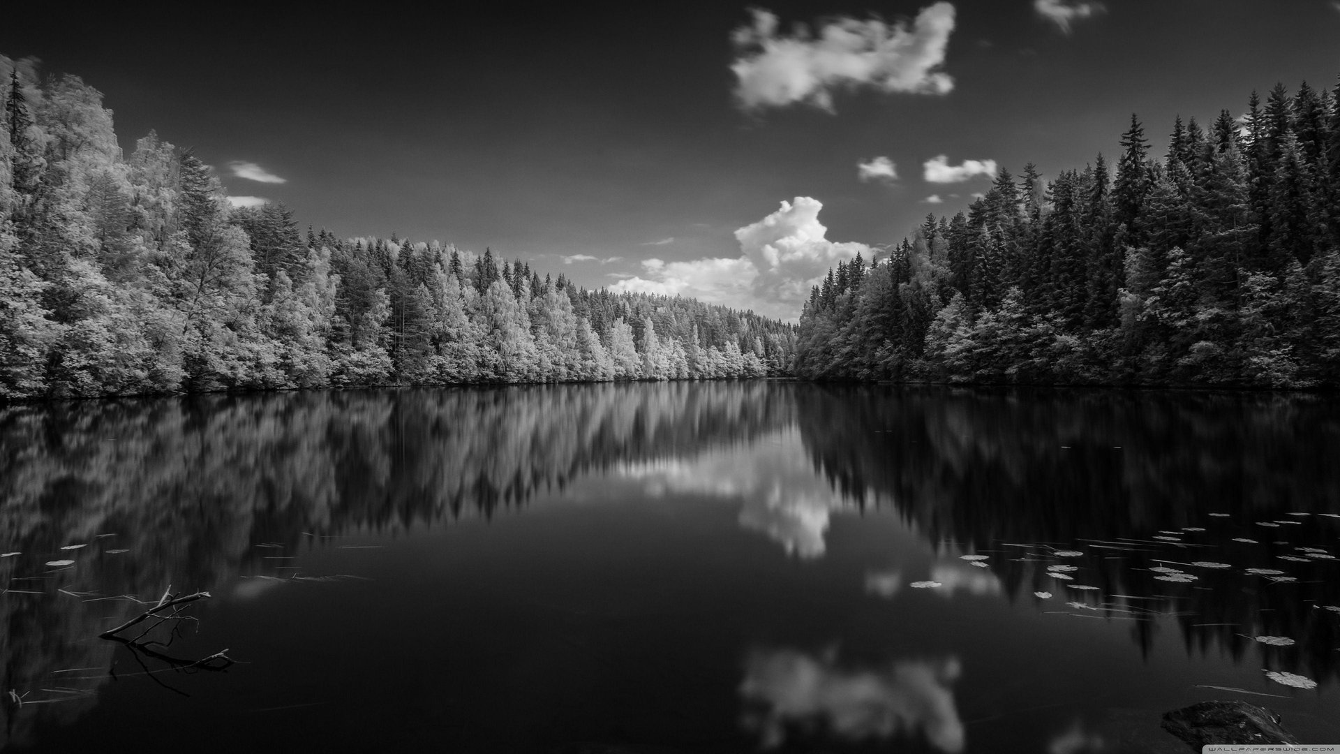 4K Black and White Wallpapers.jpg