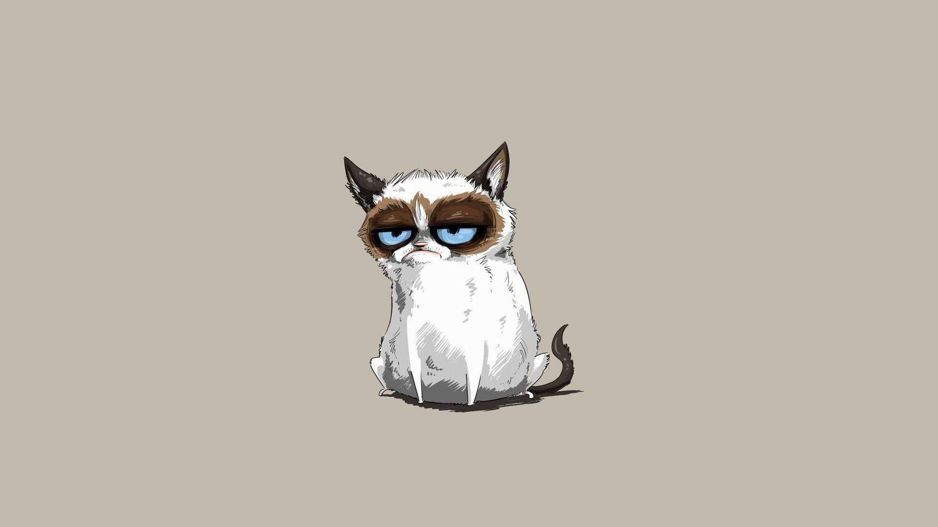 Cartoon Cat Wallpaper.jpg