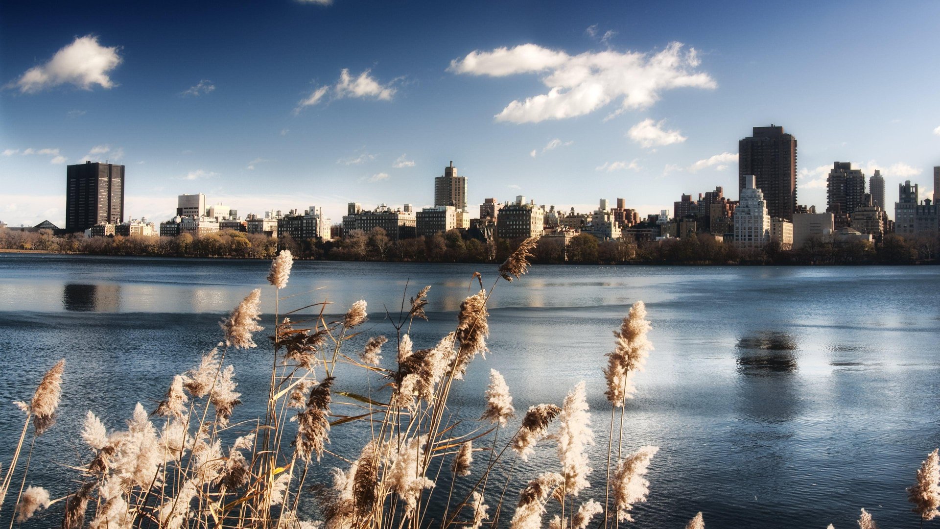 Boston 4K Wallpaper.jpg