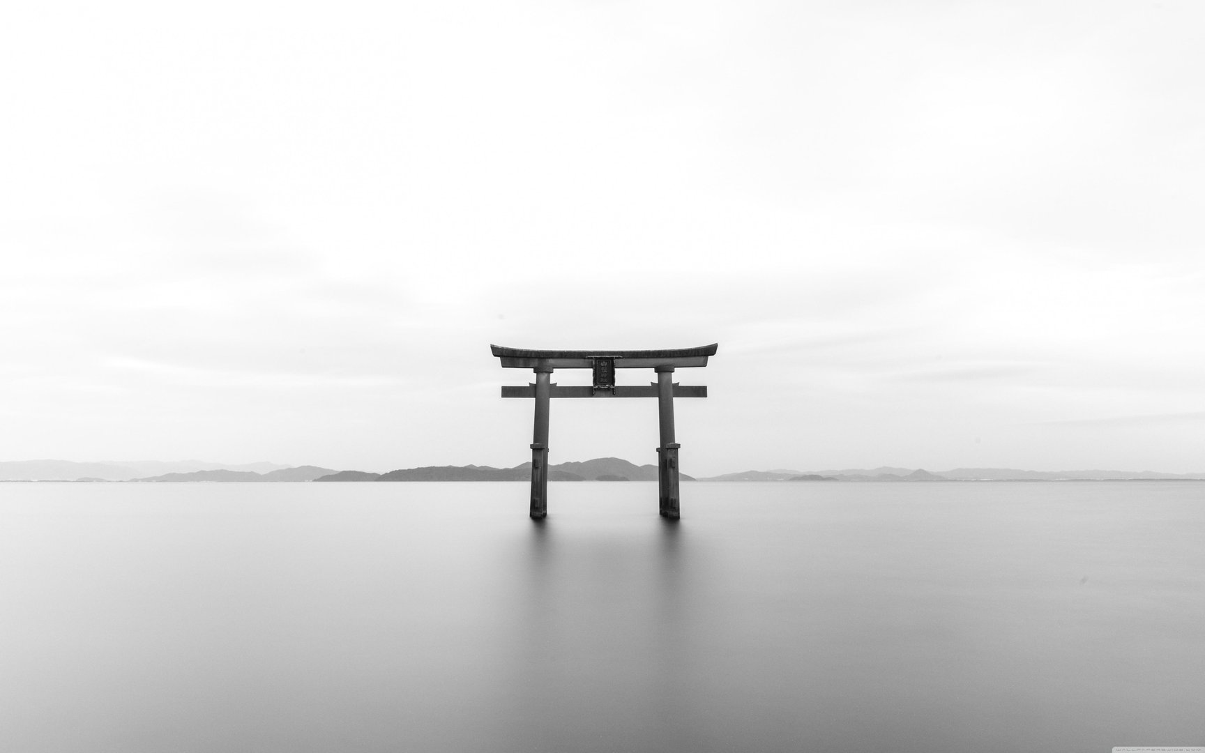 4K White Wallpapers.jpg