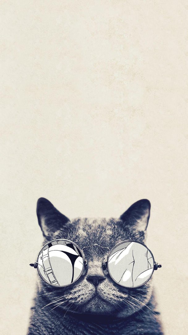 Cool Cat Wallpaper.jpg