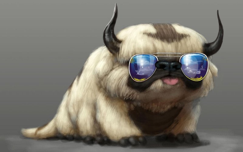 Cool Cat