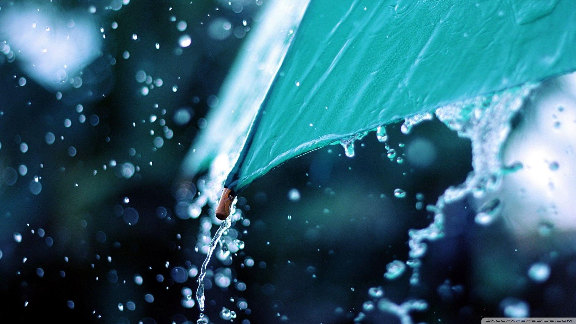Rain HD Desktop Pictures.jpg