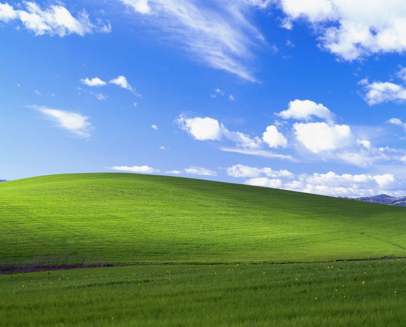 Old Windows Pictures.jpg