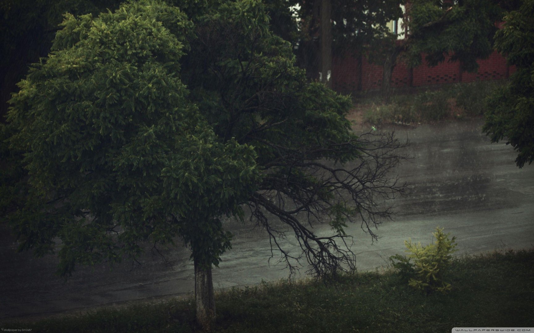 Rainy Day Wallpapers.jpg