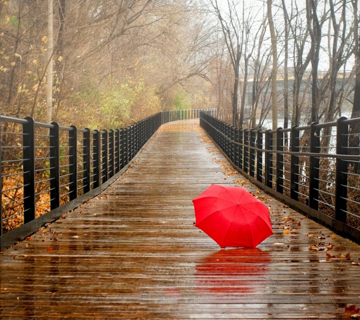 Rainy Day Images.jpg