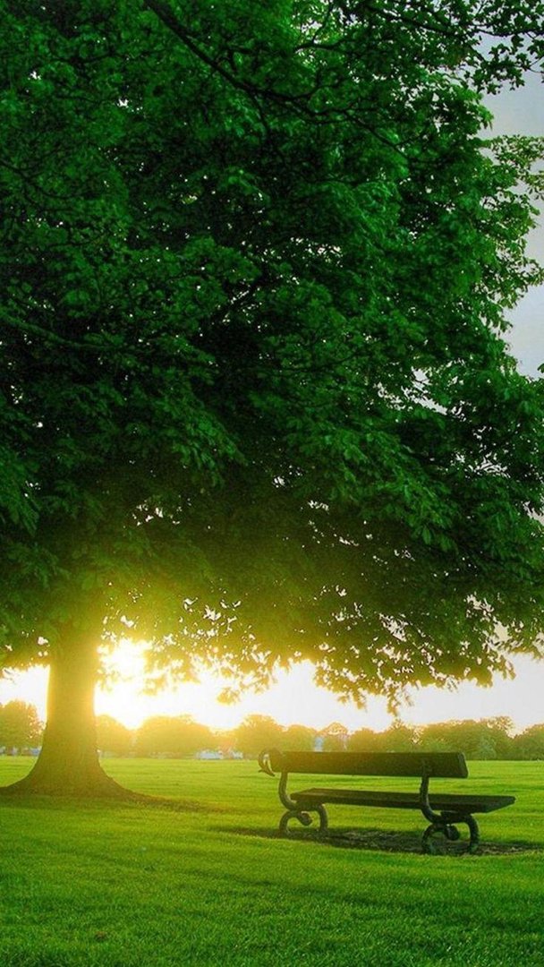 HD Nature Phone Pictures.jpg