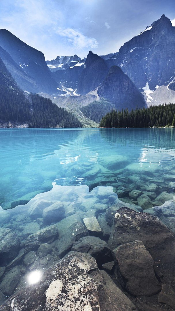 HD Nature Phone Background.jpg