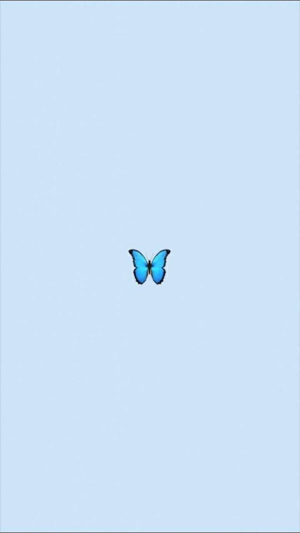 VSCO Butterfly Wallpapers.jpg