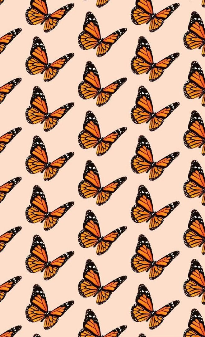 VSCO Butterfly Images.jpg