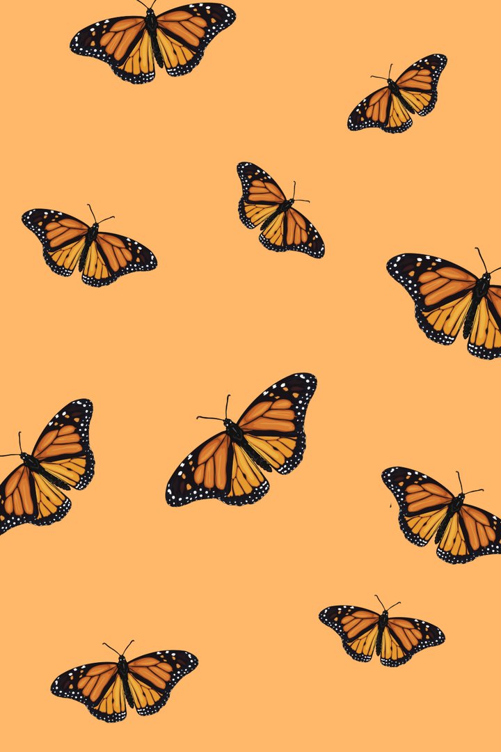 VSCO Butterfly Pictures.png
