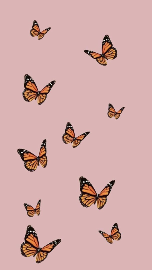 VSCO Butterfly Wallpaper.jpg