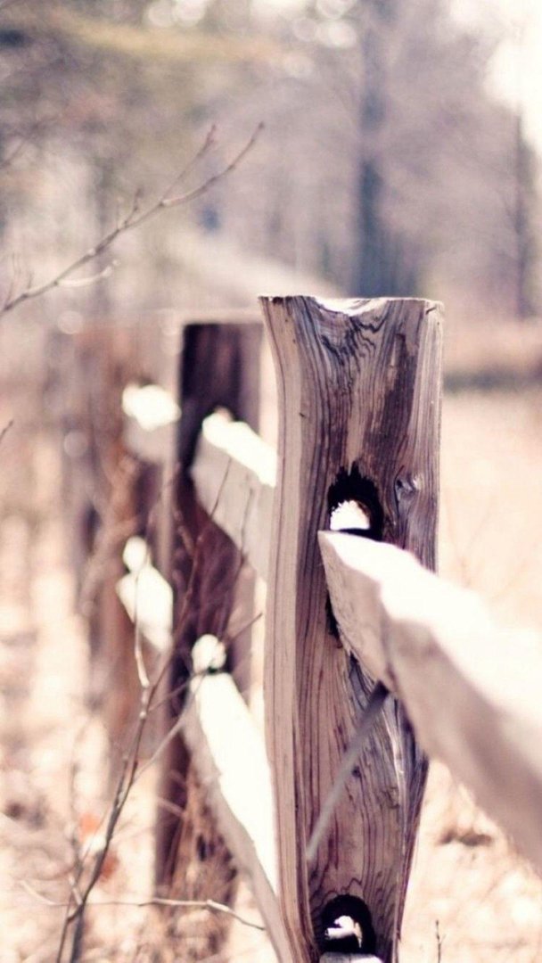 Country iPhone Pictures.jpg