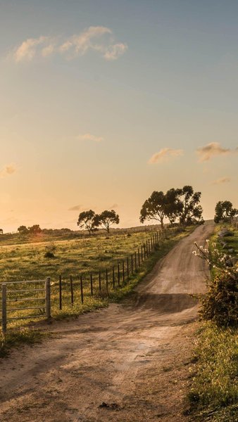 Country iPhone