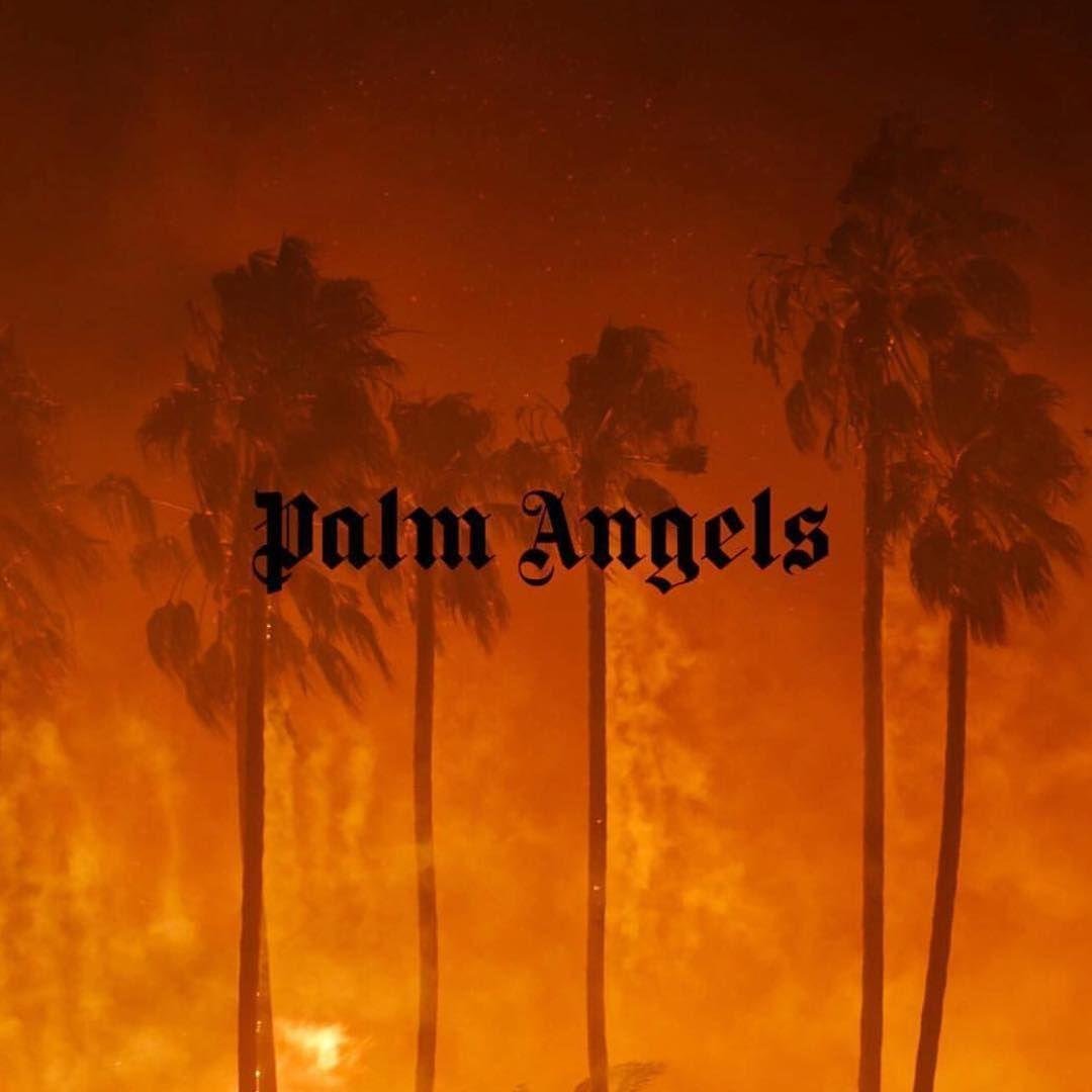 Palm Angels Images.jpg