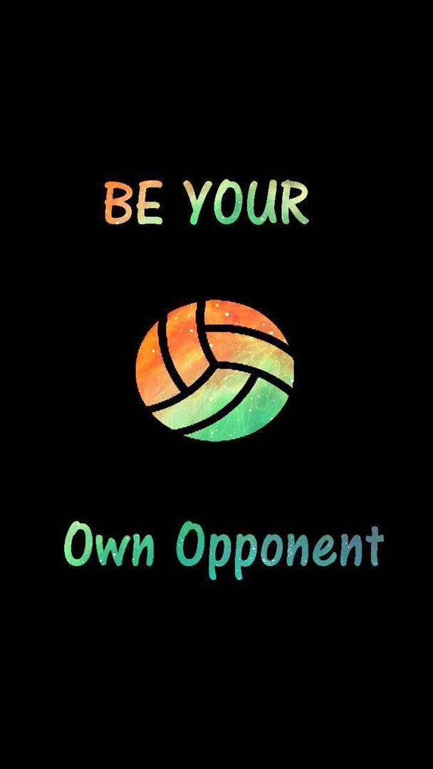 Cute Volleyball Images.jpg