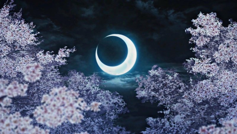 Demon Slayer Scenery