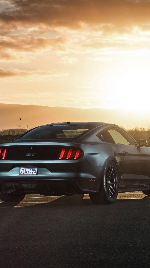 Mustang iPhone Pictures.jpg