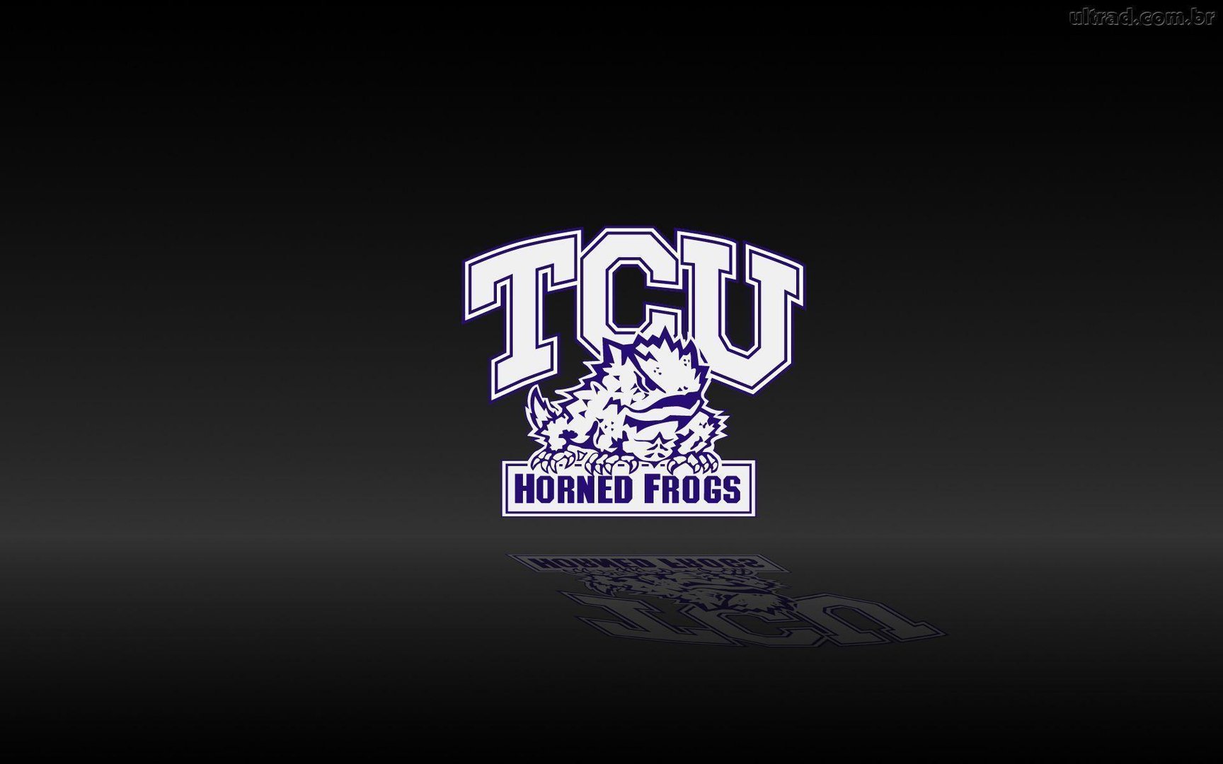 TCU Pictures.jpg