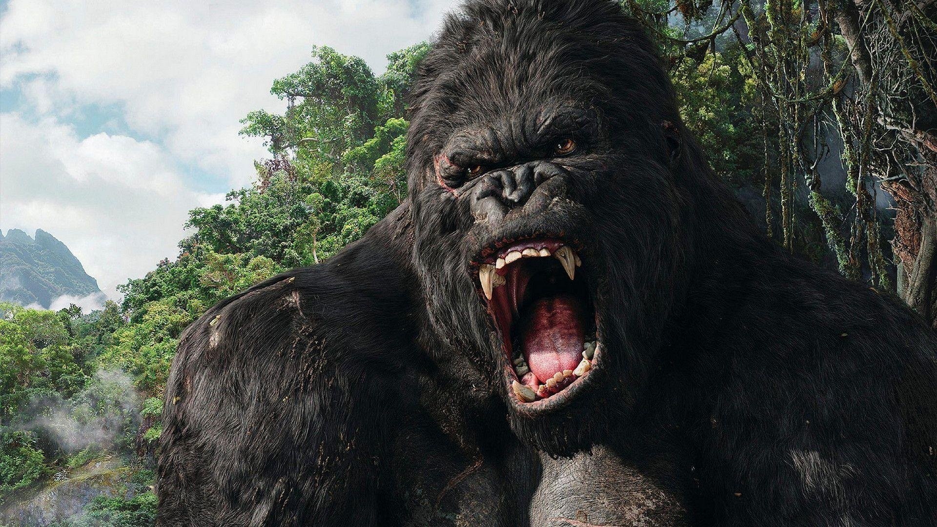King Kong Images.jpg
