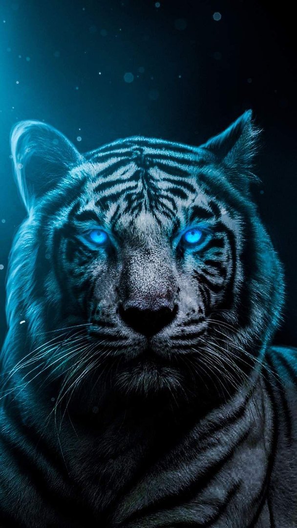 Cool Tiger iPhone Background.jpg