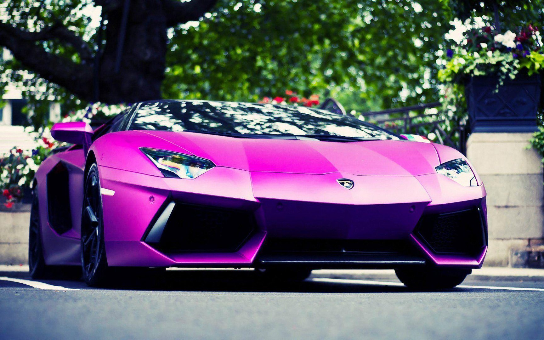 Purple Car Images.jpg